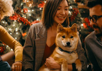 Regali di Natale per cani e gatti